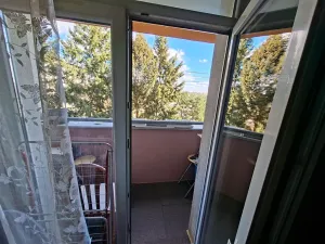 Prodej bytu 1+1, Brno, Halasovo náměstí, 29 m2