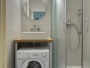 Pronájem bytu 1+kk, Brno, Cihlářská, 35 m2