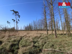 Prodej lesa, Veletov, 5891 m2