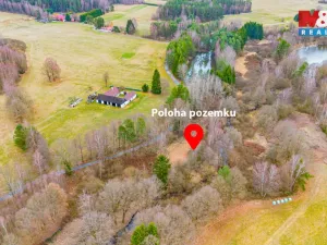 Prodej rybníku, Dvory nad Lužnicí, 8649 m2