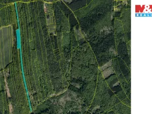 Prodej lesa, Luhačovice, 13296 m2