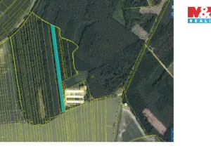 Prodej lesa, Městec Králové, 8906 m2