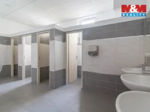 Pronájem kanceláře, Praha, Podbabská, 14 m2