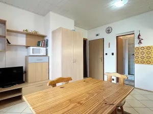 Prodej apartmánu, Strachotín, Sklepní, 285 m2