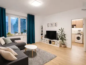 Pronájem bytu 2+1, Brno, Renneská třída, 56 m2