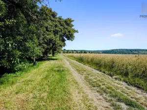 Prodej pozemku pro bydlení, Viničné Šumice, 1649 m2