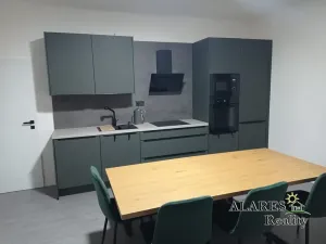 Pronájem bytu 1+1, Šestajovice, 55 m2