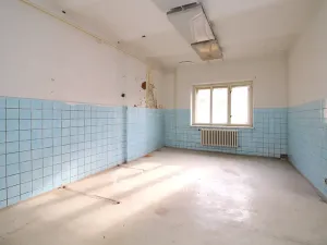 Prodej obchodního prostoru, Úpice, Palackého, 1705 m2