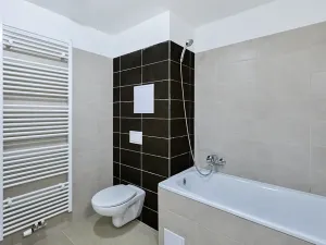 Pronájem bytu 1+kk, Plzeň, Železniční, 50 m2