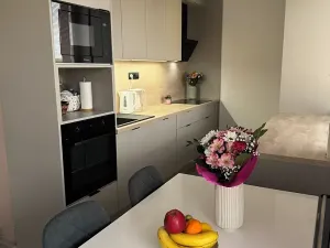 Prodej bytu 3+kk, Ostrava, Josefa Skupy, 65 m2