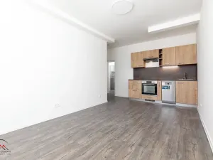 Pronájem bytu 1+kk, Ostrava, Palackého, 30 m2