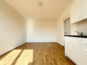 Prodej bytu 1+kk, Mšené-lázně, Mládežnická, 34 m2