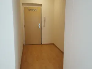 Prodej bytu 2+kk, Brno, Otiskova, 62 m2