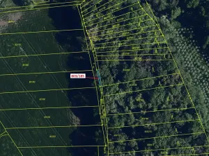 Dražba lesa, Přísnotice, 31 m2