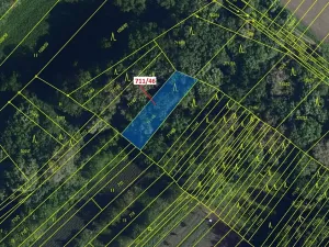 Dražba lesa, Přísnotice, 569 m2