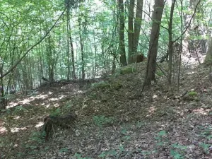 Dražba louky, Dolní Dobrouč, 4634 m2