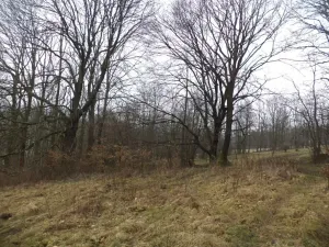 Dražba pozemku, Česká Kamenice, 5161 m2