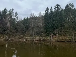 Prodej chalupy, Janovice v Podještědí, 150 m2