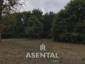 Prodej pozemku, Orlová - Poruba, Závodní, 12324 m2