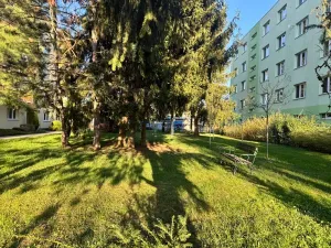 Pronájem bytu 2+1, Kyjov, Sídliště Zahradní, 54 m2