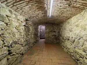 Prodej chaty, Hvožďany, 260 m2