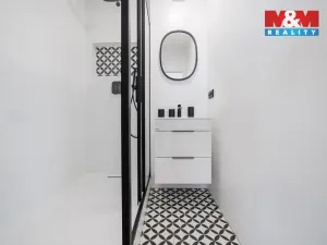 Pronájem bytu 2+1, Mladá Boleslav - Mladá Boleslav II, Palackého, 54 m2