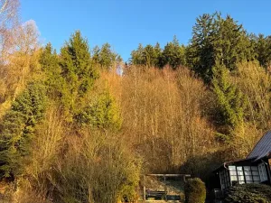 Prodej lesa, Huslenky, 1784 m2