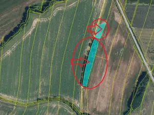 Prodej lesa, Nový Malín, 8466 m2