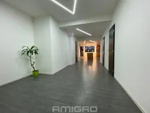 Pronájem obchodního prostoru, Brno, Merhautova, 56 m2