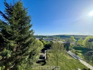 Pronájem bytu 3+kk, Brno, Preslova, 104 m2