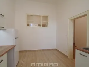 Pronájem bytu 1+1, Brno, Česká, 55 m2