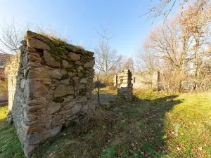 Prodej vícegeneračního domu, Vrchotovy Janovice, 380 m2