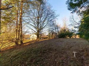 Prodej vícegeneračního domu, Vrchotovy Janovice, 380 m2