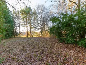 Prodej vícegeneračního domu, Vrchotovy Janovice, 380 m2