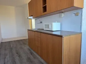 Prodej bytu 3+1, Prachovice, Bučina, 65 m2