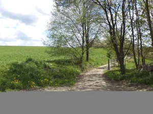 Prodej pozemku, Vítkov, 3225 m2