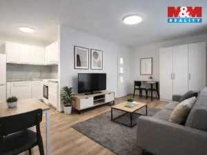 Pronájem bytu 1+kk, Most, Česká, 33 m2