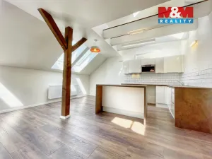 Prodej rodinného domu, Slaný, Tyršova, 246 m2