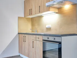 Pronájem bytu 1+kk, Plzeň, Rejskova, 38 m2