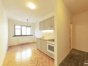 Pronájem bytu 2+kk, Praha - Karlín, Pernerova, 44 m2