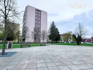 Prodej bytu 3+1, Chropyně, Moravská, 65 m2