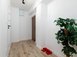 Prodej bytu 2+1, Ostrava, Mongolská, 49 m2