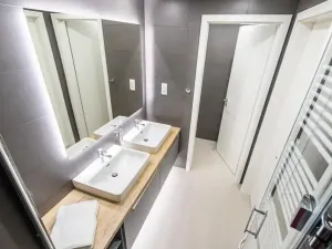 Pronájem bytu 2+kk, Praha - Žižkov, U Viktorie, 68 m2