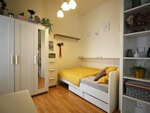 Pronájem bytu 1+kk, Brno, Koliště, 26 m2