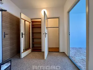 Prodej bytu 2+kk, Brno, Labská, 45 m2