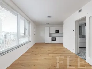 Pronájem bytu 1+kk, Praha - Radlice, U Komína, 38 m2