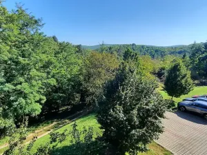 Pronájem bytu 1+kk, Brno, Šemberova, 51 m2