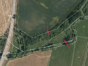 Prodej louky, Bavorov, 8600 m2