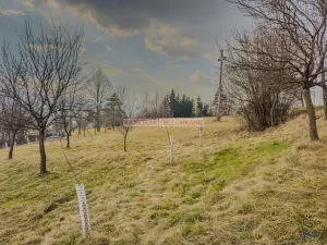 Prodej pozemku pro bydlení, Žítková, 1092 m2