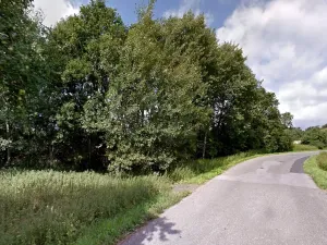 Prodej lesa, Dubnice, 1405 m2